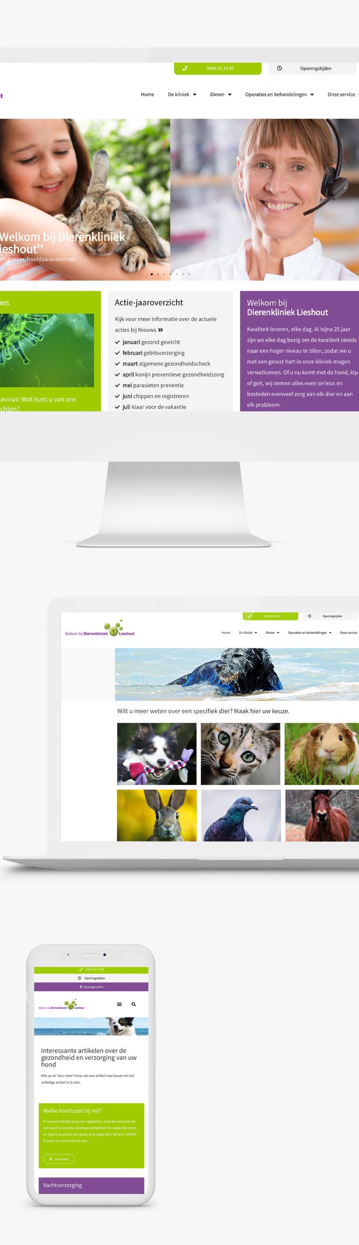 dierenklinieklieshout_mockup-goed dierenklinieklieshout_mockup-goed